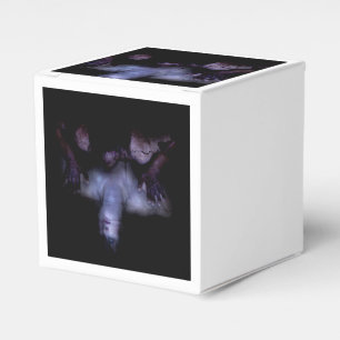 Falln Mirror Geschenkschachtel