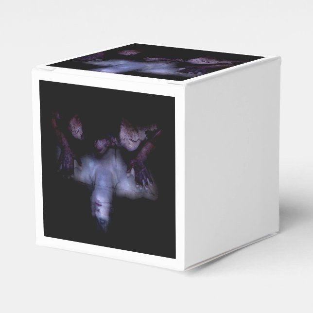 Falln Mirror Geschenkschachtel (Vorderseite)
