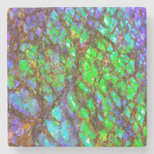 Falln Peacock Ammolite Steinuntersetzer