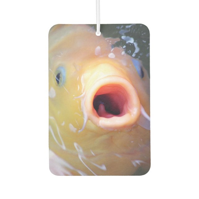 Falln Singing Ghost Koi Autolufterfrischer (Vorderseite)