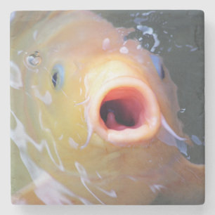 Falln Singing Ghost Koi Steinuntersetzer
