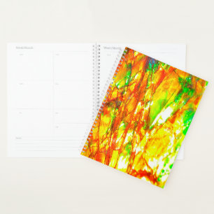 Falln Sunset Ammolite