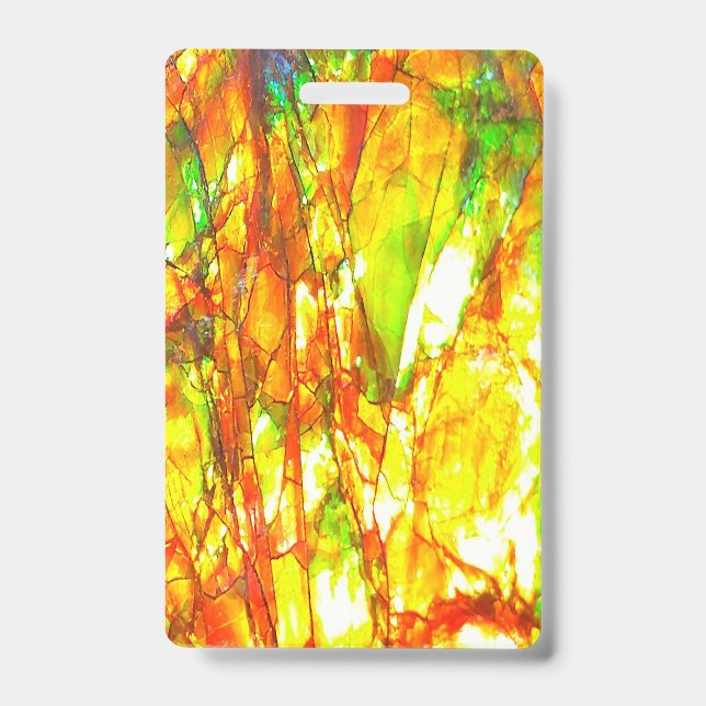 Falln Sunset Ammolite Ausweis (Vorderseite)