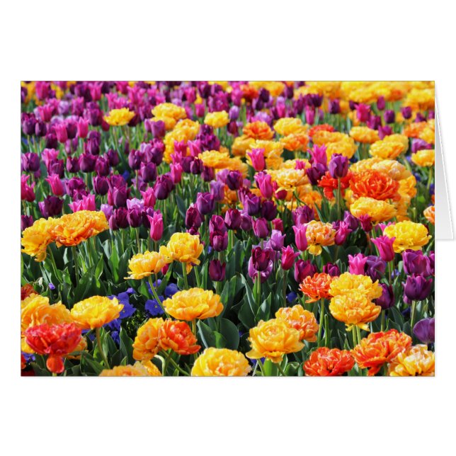 Falln Sunset Floral River (Devant horizontal)