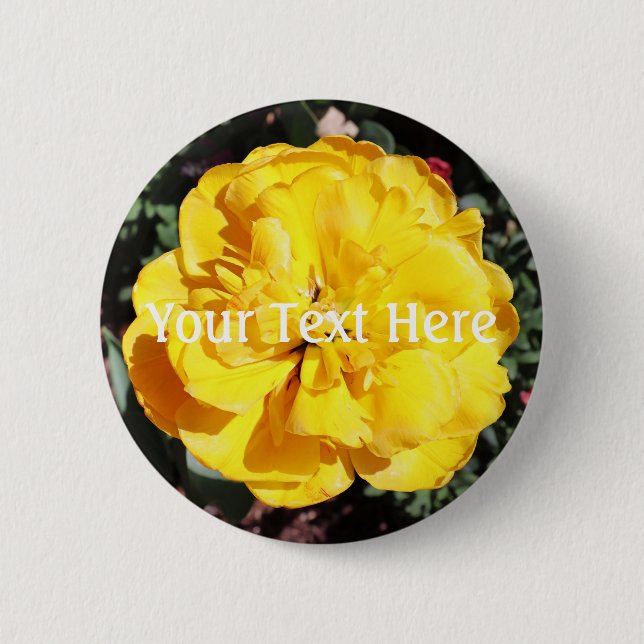 Falln Sunshine Button (Vorderseite)