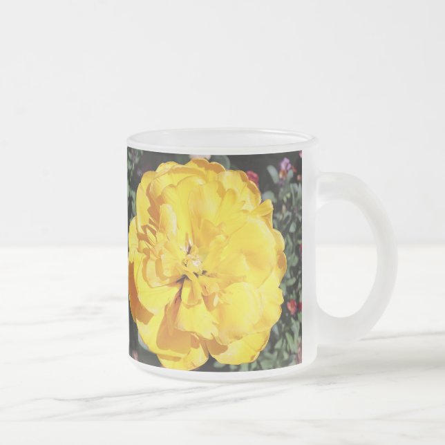 Falln Sunshine Mattglastasse (Rechts)