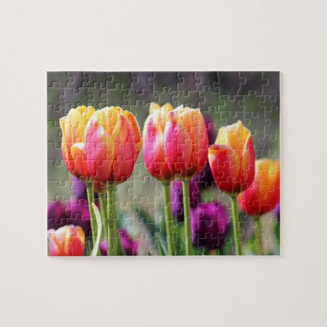 Falln Tulips Aflm (Horizontal)