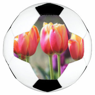 Falln Tulips Aflm Fußball