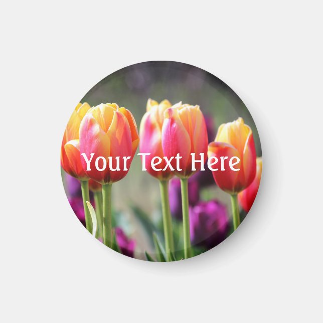 Falln Tulips Aflm Magnet (Vorne)
