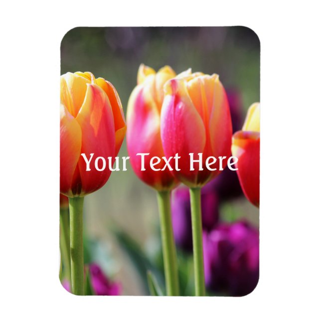 Falln Tulips Aflm Magnet (Vertikal)