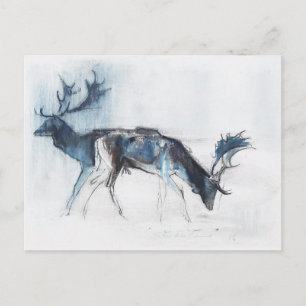 Fallow Bucks Richmond 2006 Postkarte