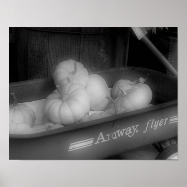 Fallpumpen in Wagens Schwarz-weißes Foto drucken Poster (Vorne)