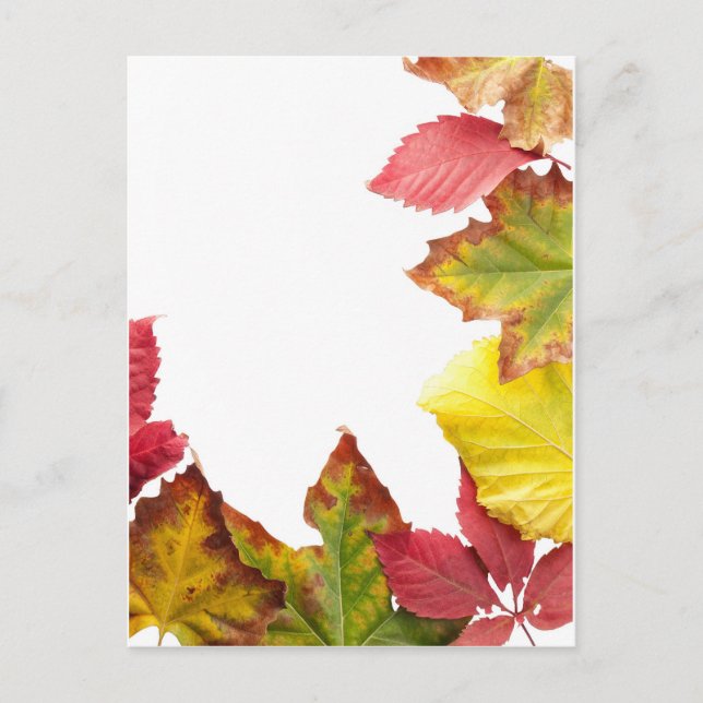 Fallrahmen Postkarte (Vorderseite)