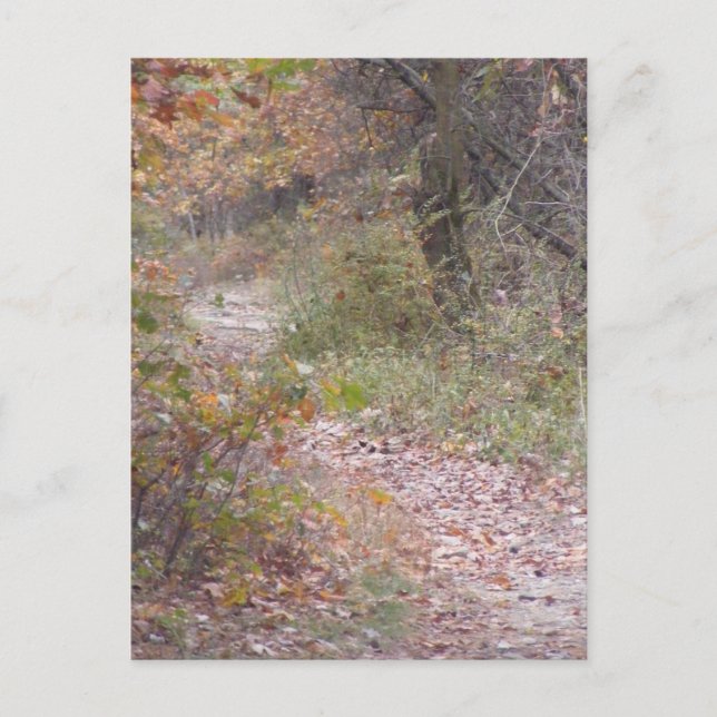 Fallsylvania Postkarte (Vorderseite)