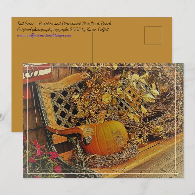 Fallszene / Pumpkin & Bittersweet 5 x 7 Postkarte (Vorne/Hinten)