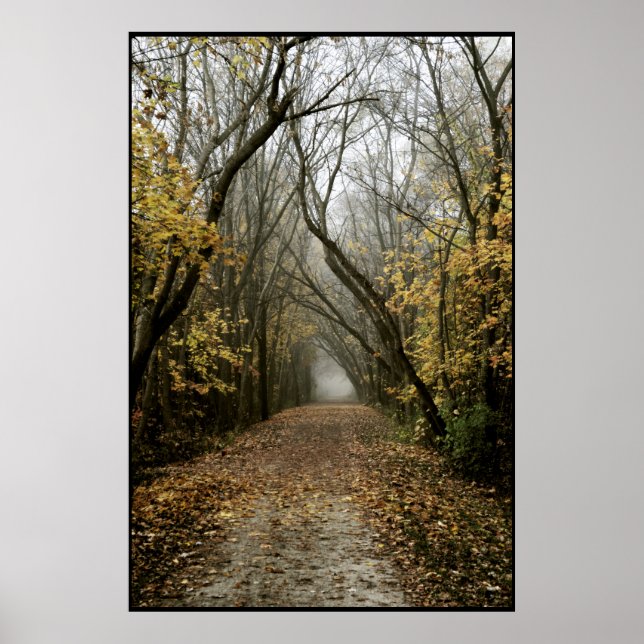 Fallweg führt in Nebel Poster (Vorne)