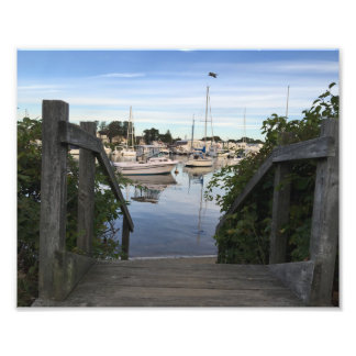 Falmouth Harbour Cape Cod Foto Print