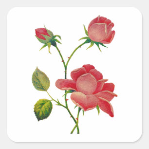 Falsche tiefrosa Rosen bestickt Quadratischer Aufkleber