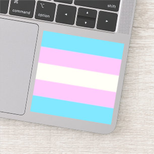 Falsche Trans-Pride-Flagge Aufkleber