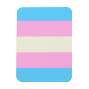 Falsche Transgender-Pride-Markierung Magnet