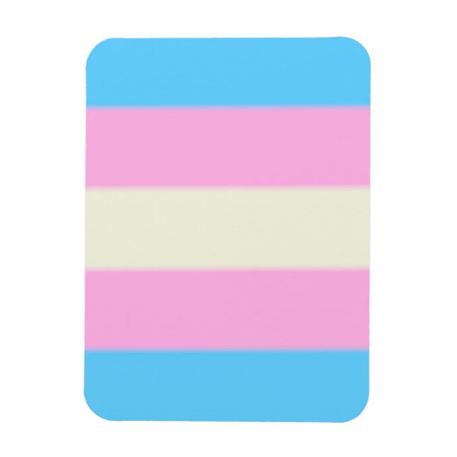 Falsche Transgender-Pride-Markierung Magnet (Vertikal)