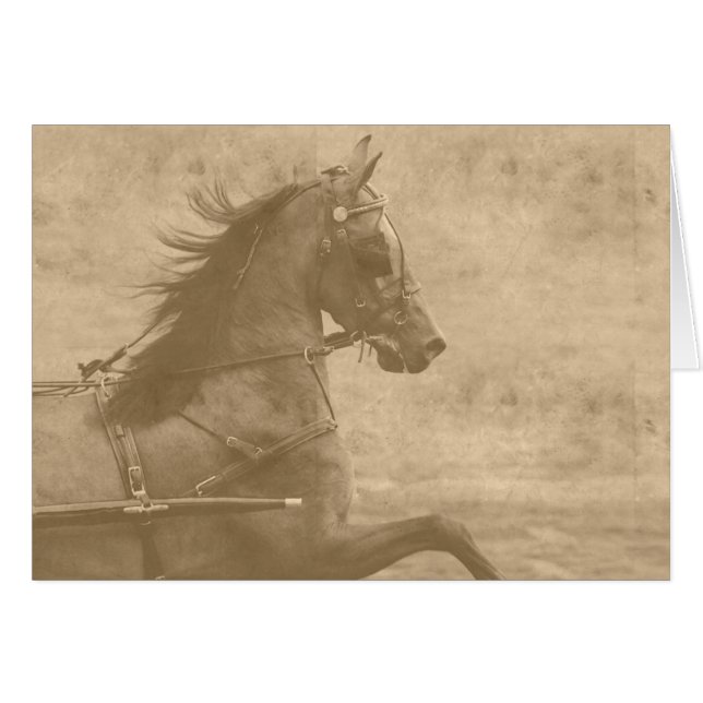 Falsche Vintage Hackney (Vorderseite (Horizontal))