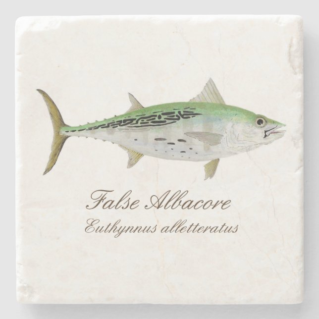Falscher Albacore-Untersetzer Steinuntersetzer (Vorderseite)