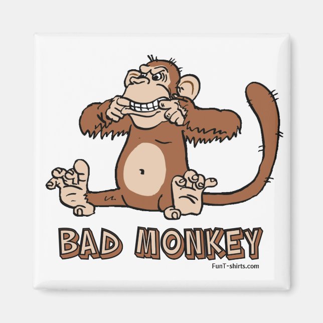 Falscher Monkey-Magnet Magnet (Vorne)