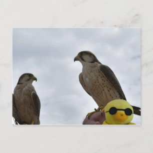 Falscher Ort, falsche Zeit Postkarte