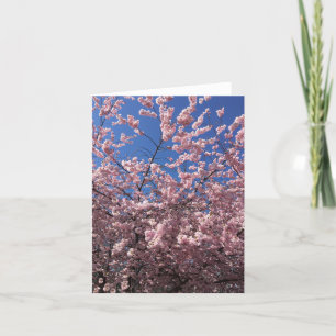 FALSCHKARTE - PINKSPRING DANKESKARTE