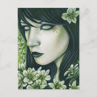 False Hellebore Hübsche Gifte Postkarte