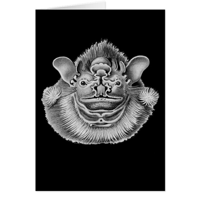 Falte-gesichtiger Schläger (Vorne)