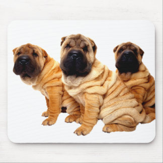 Falten sind schönes Mousepad