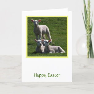 Faltkarte Feiertagskarte