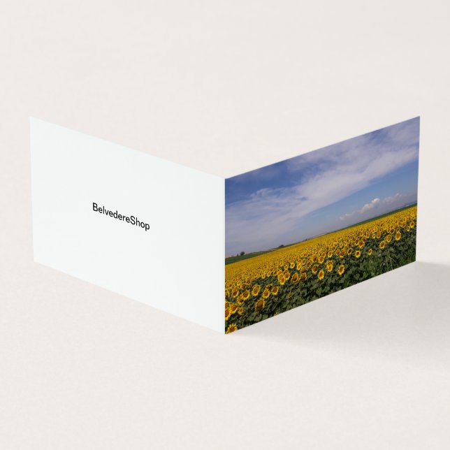Faltkarte für Sonnenblumenfelder (Vorderseite)