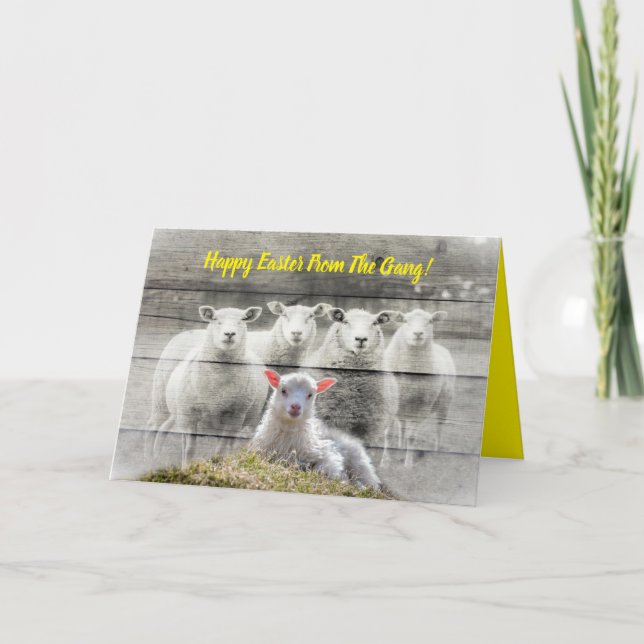 Faltkarte Karte (Vorderseite)