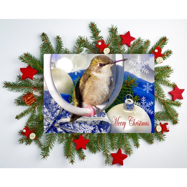 Faltkarte Karte (Von Creator hochgeladen)