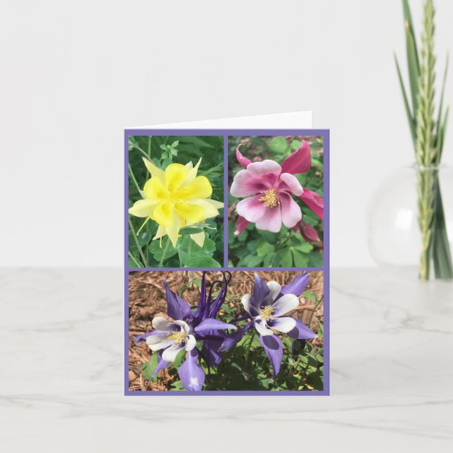 Faltkarte Karte (Vorderseite)