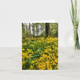 Faltkarte mit Forstmotiv Karte