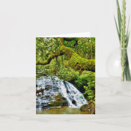 Faltkarte mit Wasserfall Karte