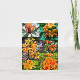 Faltkarte mit Wildblume-Collage Karte