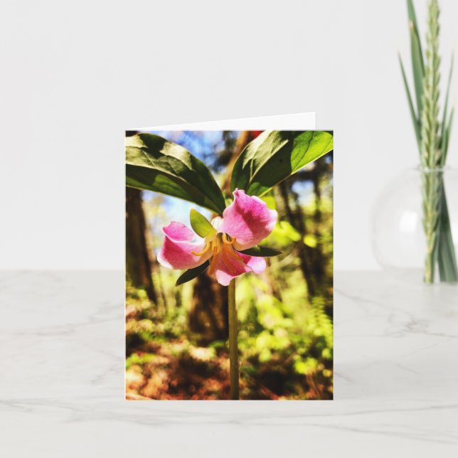 Faltkarte mit Wildblume-Foto Karte (Vorderseite)
