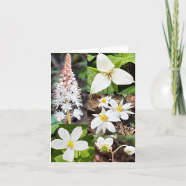 Faltkarte mit Zusammenstellung von Wildblumen Karte
