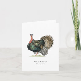 Faltkarte "Wild Turkey" Karte