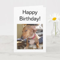 Faltkartenseite des Auges