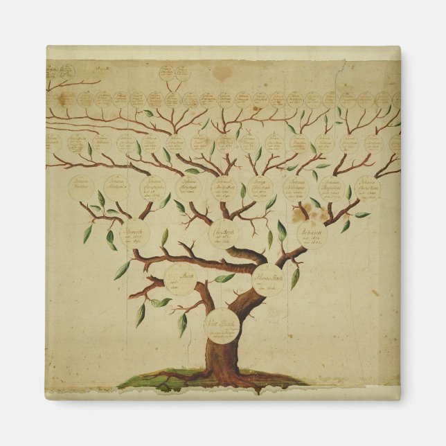 Familie Bach, geb. 1750-1770 Magnet (Vorne)