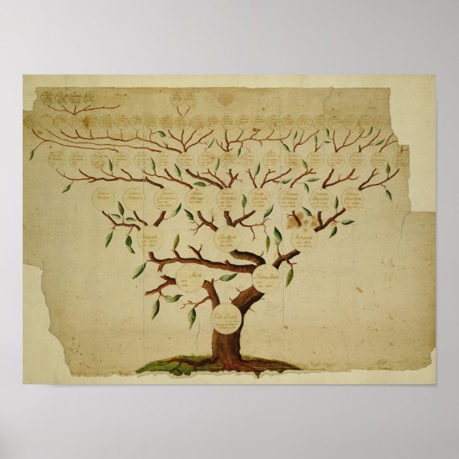 Familie Bach, geb. 1750-1770 Poster (Vorne)