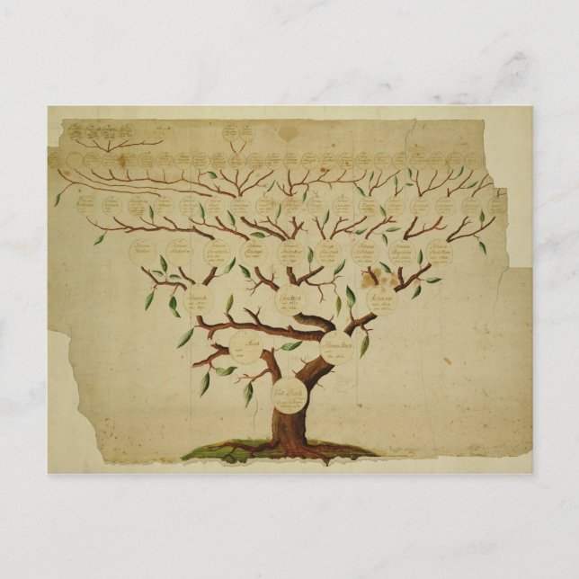 Familie Bach, geb. 1750-1770 Postkarte (Vorderseite)