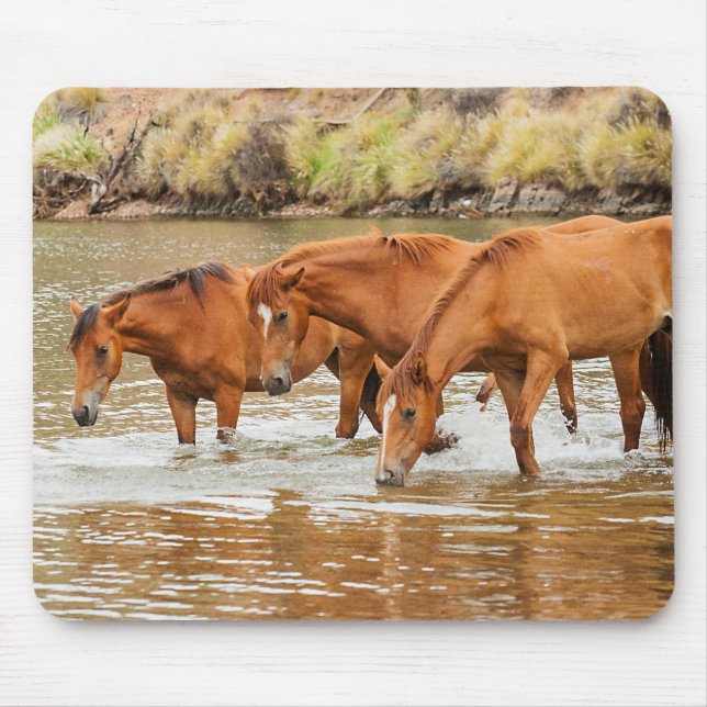 Familie der Braunen Pferde am Fluss Mousepad (Vorne)