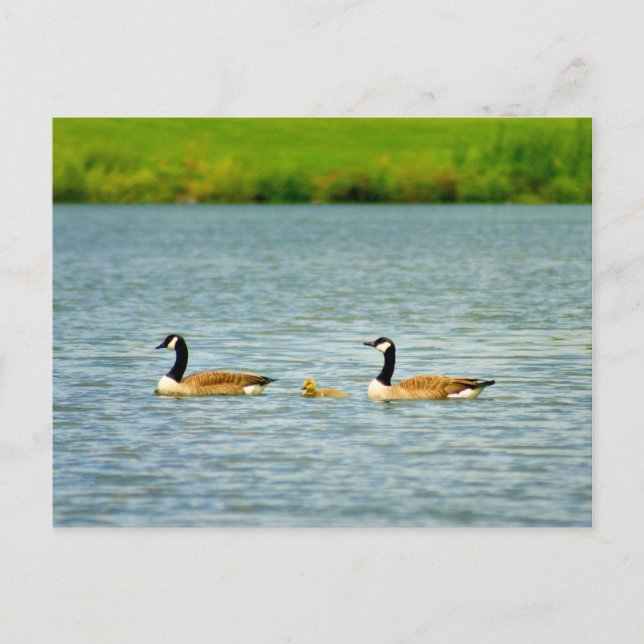 Familie der drei postkarte (Vorderseite)